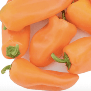 A pile of fresh orange mini sweet peppers with green stems.